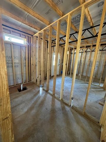 TBD E Skyline, Geneva, AL 36340