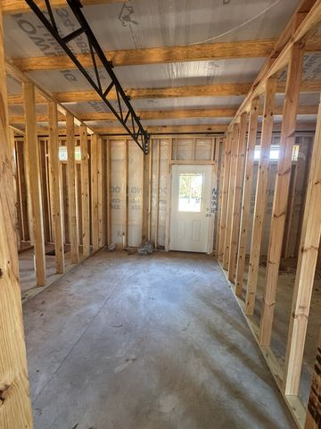 TBD E Skyline, Geneva, AL 36340