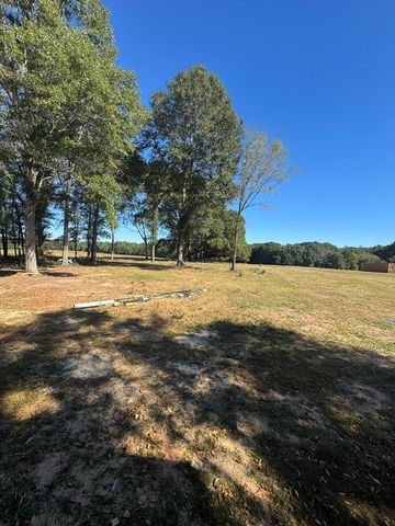 TBD E Skyline, Geneva, AL 36340