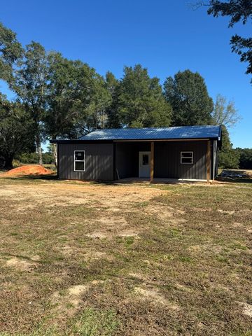 TBD E Skyline, Geneva, AL 36340