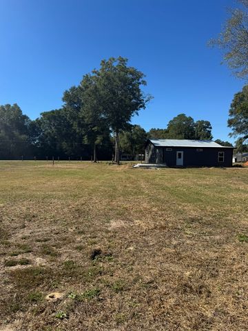 TBD E Skyline, Geneva, AL 36340