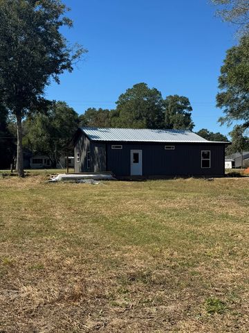 TBD E Skyline, Geneva, AL 36340