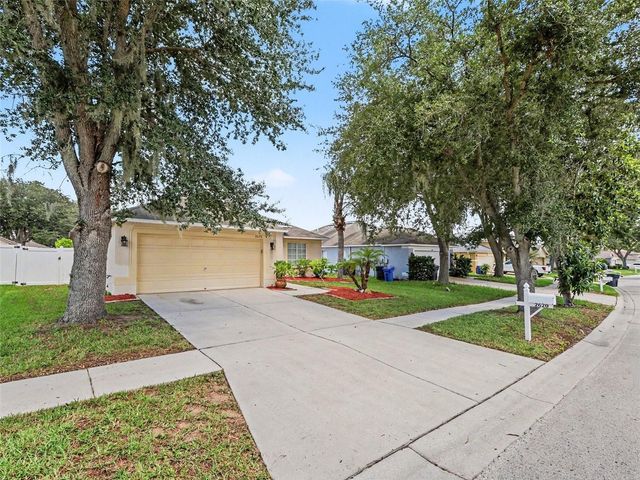 2620 BUCKHORN PRESERVE BOULEVARD, Valrico, FL 33596