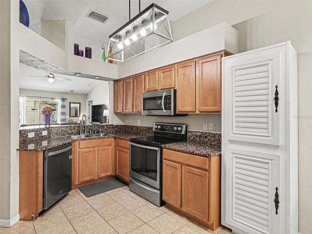 2620 BUCKHORN PRESERVE BOULEVARD, Valrico, FL 33596