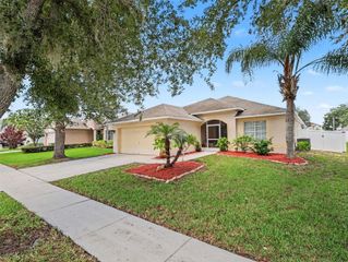 2620 BUCKHORN PRESERVE BOULEVARD, Valrico, FL 33596