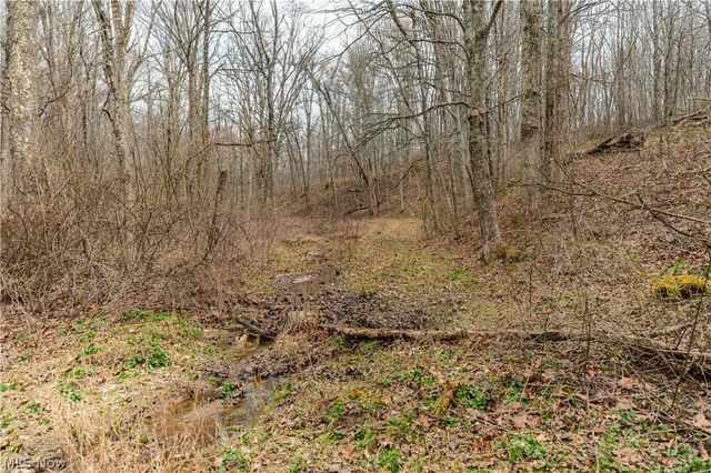 18579 Hobbler Lane, Lore City, OH 43755