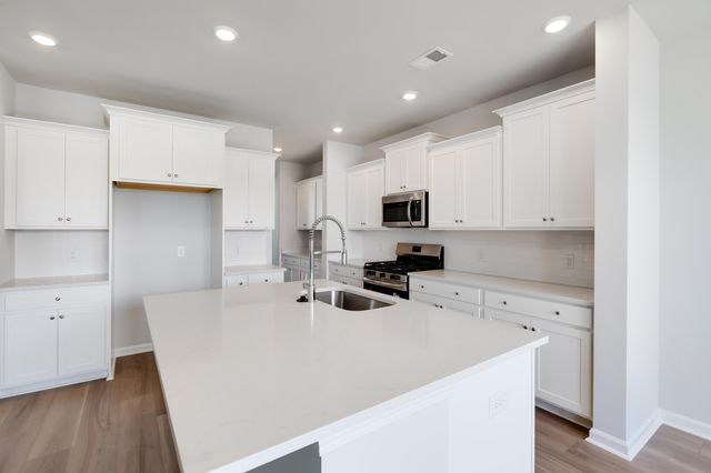 1028 Red Turnstone Run, Summerville, SC 29485