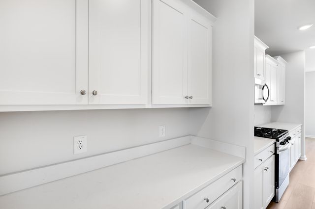 1028 Red Turnstone Run, Summerville, SC 29485