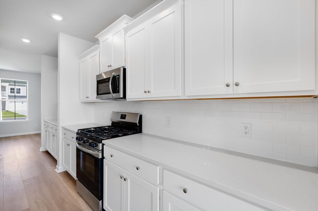 1028 Red Turnstone Run, Summerville, SC 29485