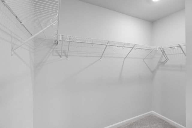 1028 Red Turnstone Run, Summerville, SC 29485