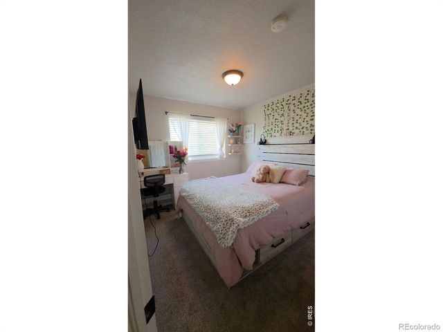 2138 Blue Duck Drive, Loveland, CO 80537
