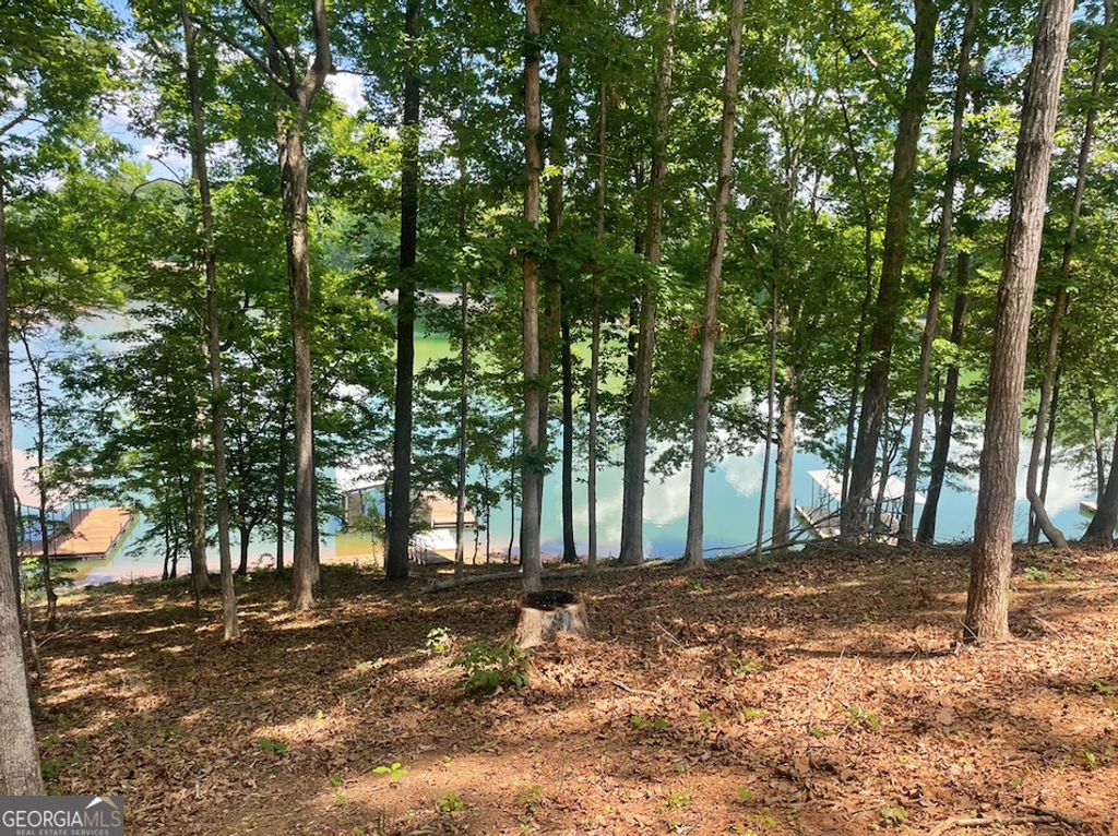 145 Sweet Gum Drive, Westminster, SC 29693 — photo 2