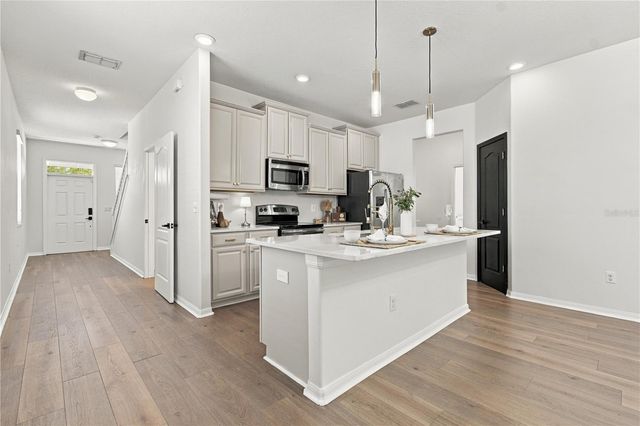 18928 HAMPSTEAD HEATH COURT, Land O Lakes, FL 34638