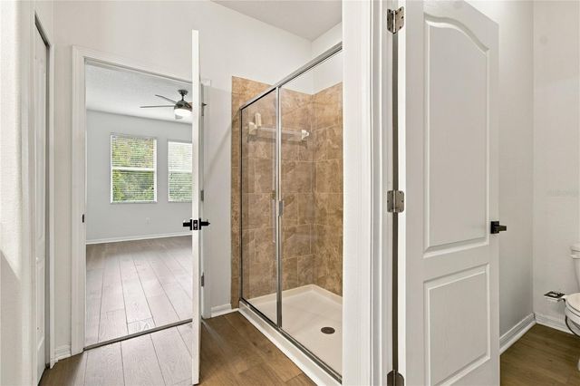 18928 HAMPSTEAD HEATH COURT, Land O Lakes, FL 34638