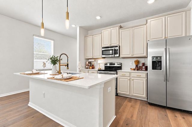 18928 HAMPSTEAD HEATH COURT, Land O Lakes, FL 34638