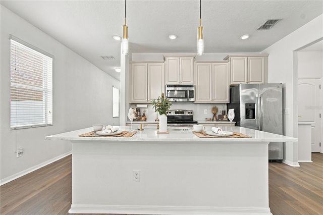 18928 HAMPSTEAD HEATH COURT, Land O Lakes, FL 34638