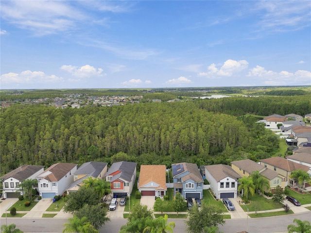 18928 HAMPSTEAD HEATH COURT, Land O Lakes, FL 34638
