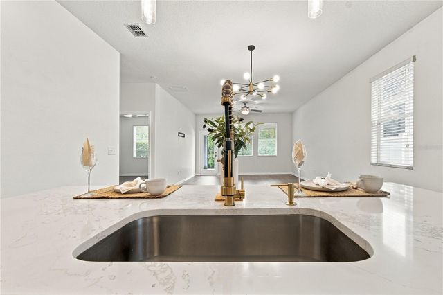 18928 HAMPSTEAD HEATH COURT, Land O Lakes, FL 34638