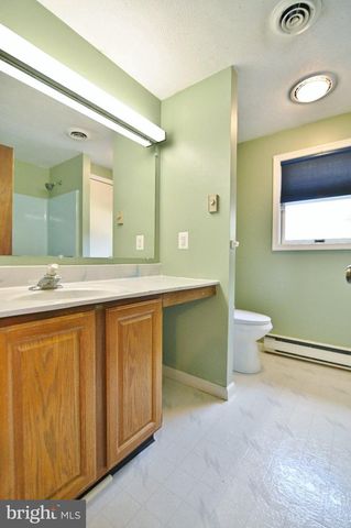 338 CALAMUS LN, Strasburg, VA 22657
