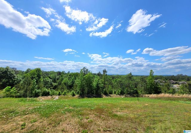 264 HIGHLAND VIEW DRIVE, Lincoln, AL 35096