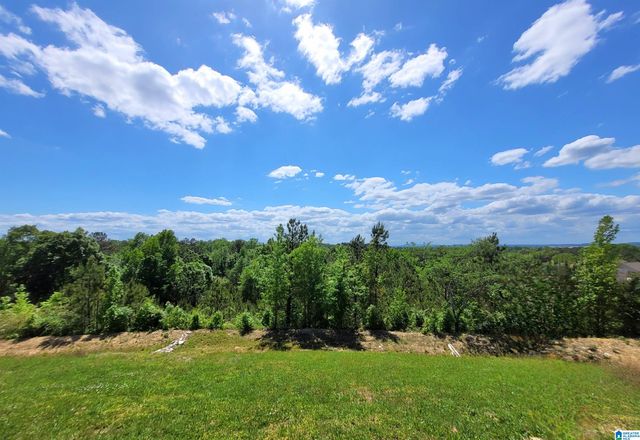 264 HIGHLAND VIEW DRIVE, Lincoln, AL 35096