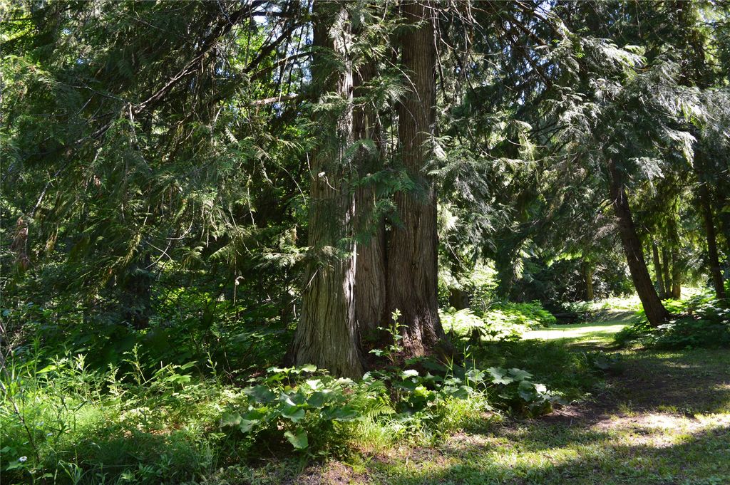 19824 Bull Lake Road, Troy, MT 59935 photo 66