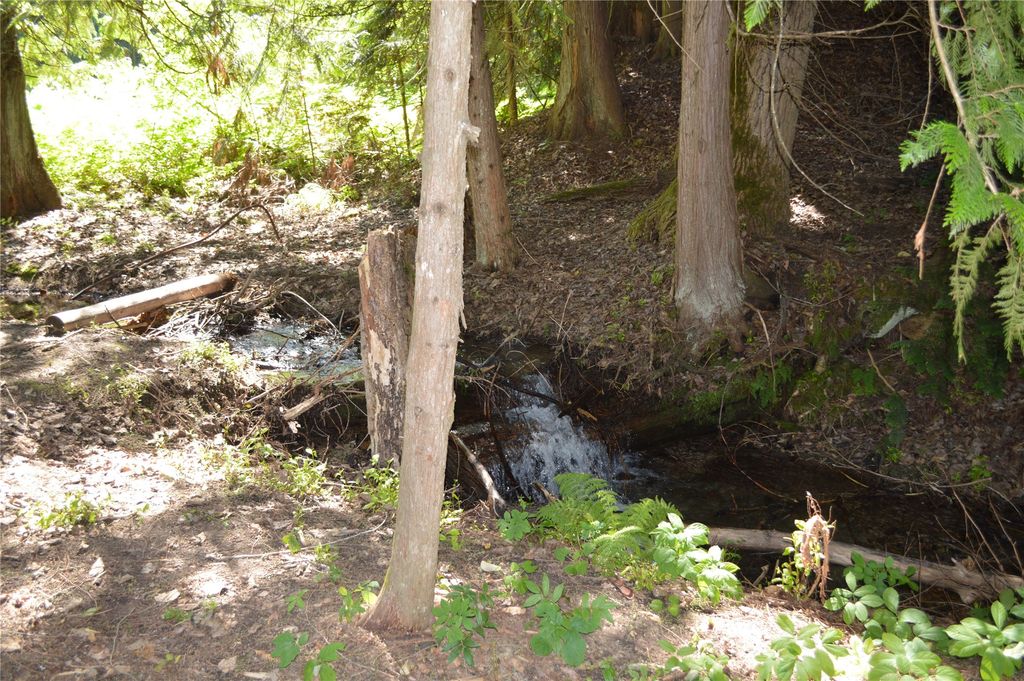 19824 Bull Lake Road, Troy, MT 59935 photo 73