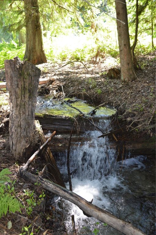 19824 Bull Lake Road, Troy, MT 59935 photo 74