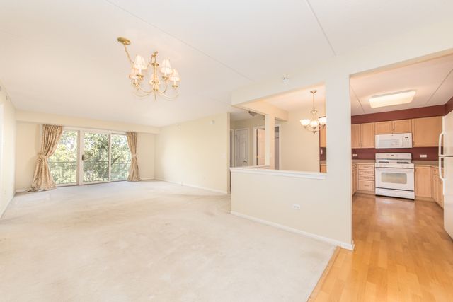 6815 N Milwaukee Avenue 507, Niles, IL 60714