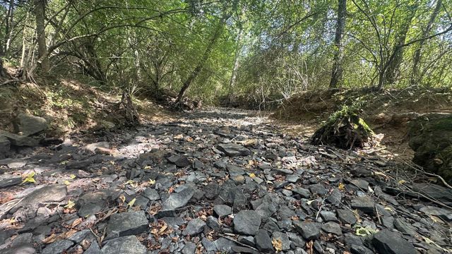 730 HWY 258, Bald Knob, AR 72010