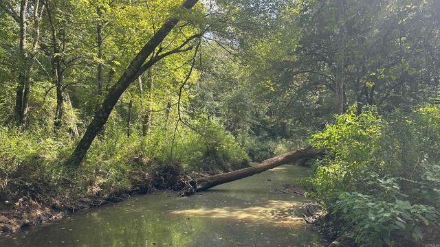 730 HWY 258, Bald Knob, AR 72010