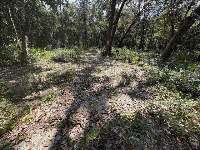 0 NE 37TH STREET, Silver Springs, FL 34488