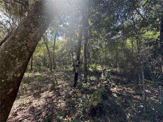 0 NE 37TH STREET, Silver Springs, FL 34488