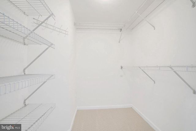 3834 ELBERT, Alexandria, VA 22305