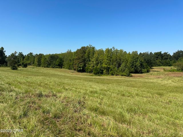 3622 Cypress Tree Lane, Marianna, FL 32448