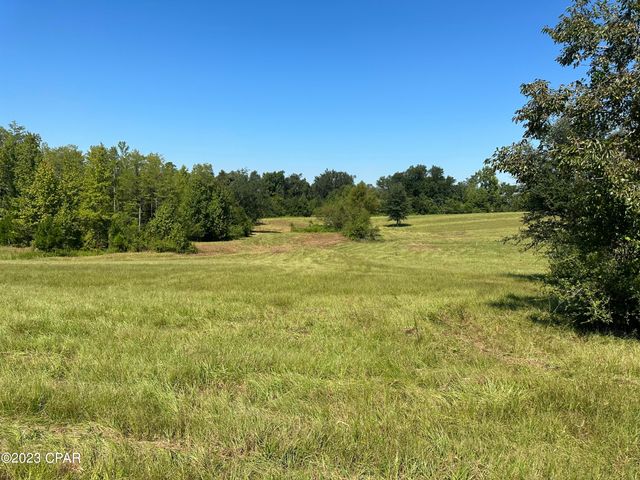 3622 Cypress Tree Lane, Marianna, FL 32448