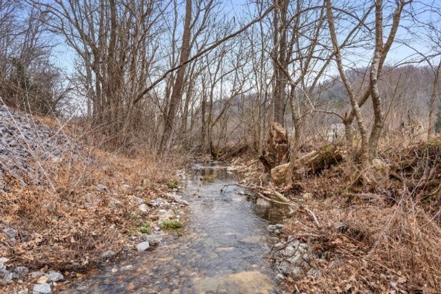 7401 Burks Hollow Rd, Christiana, TN 37037