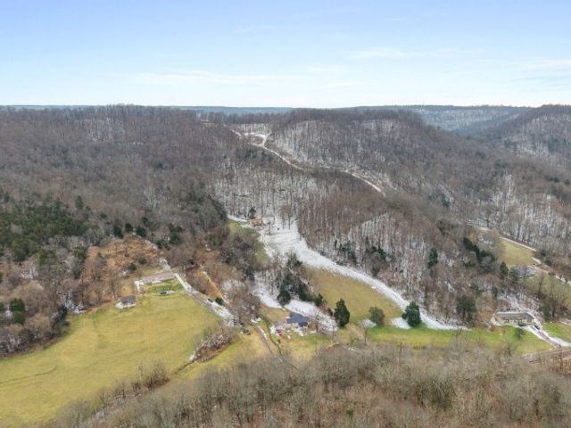 7401 Burks Hollow Rd, Christiana, TN 37037