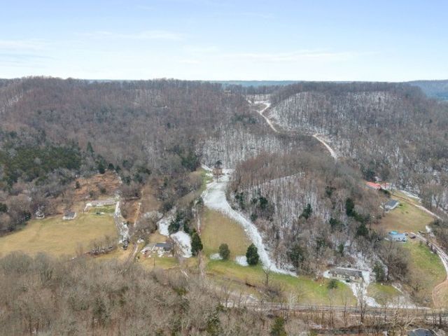 7401 Burks Hollow Rd, Christiana, TN 37037