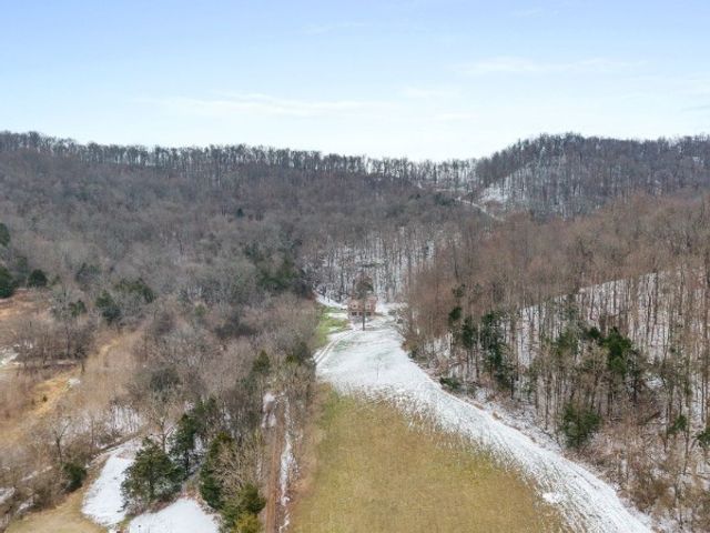 7401 Burks Hollow Rd, Christiana, TN 37037