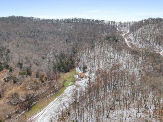 7401 Burks Hollow Rd, Christiana, TN 37037