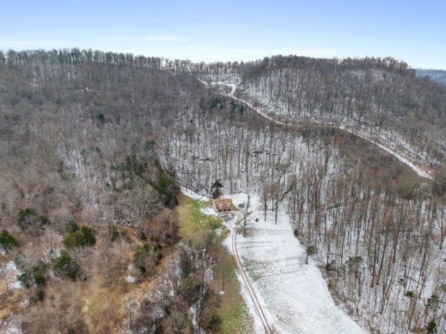 7401 Burks Hollow Rd, Christiana, TN 37037