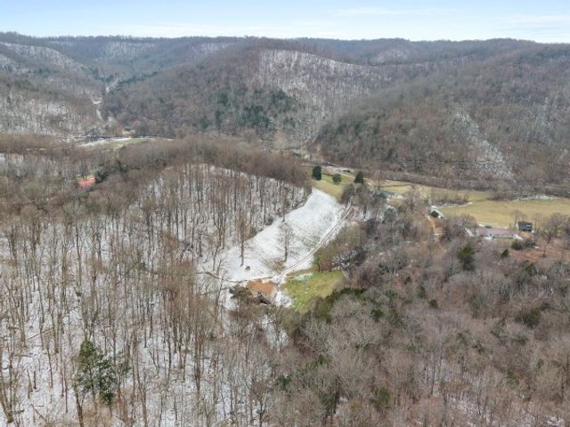 7401 Burks Hollow Rd, Christiana, TN 37037