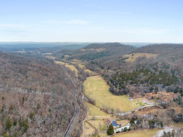 7401 Burks Hollow Rd, Christiana, TN 37037