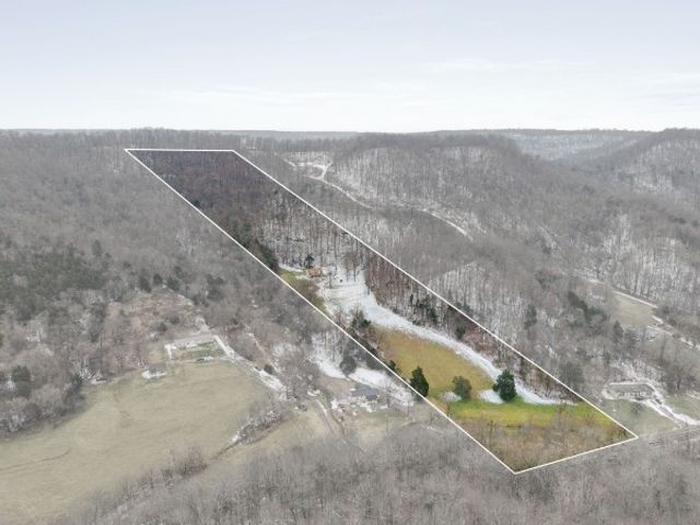 7401 Burks Hollow Rd, Christiana, TN 37037