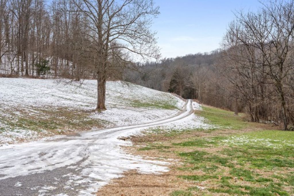 7401 Burks Hollow Rd, Christiana, TN 37037