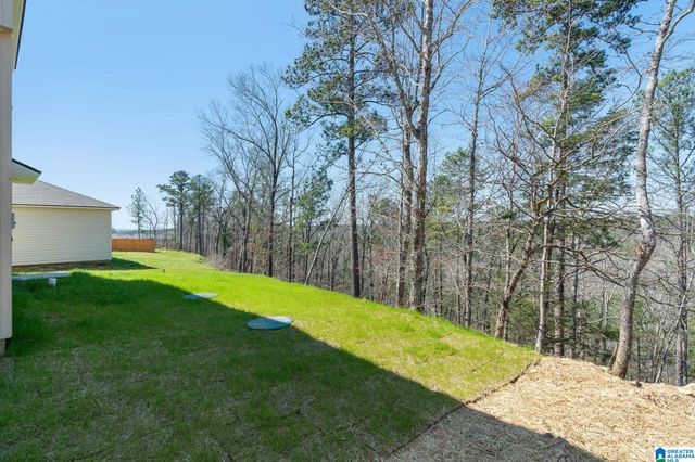 96 REAVES DRIVE, Munford, AL 36268