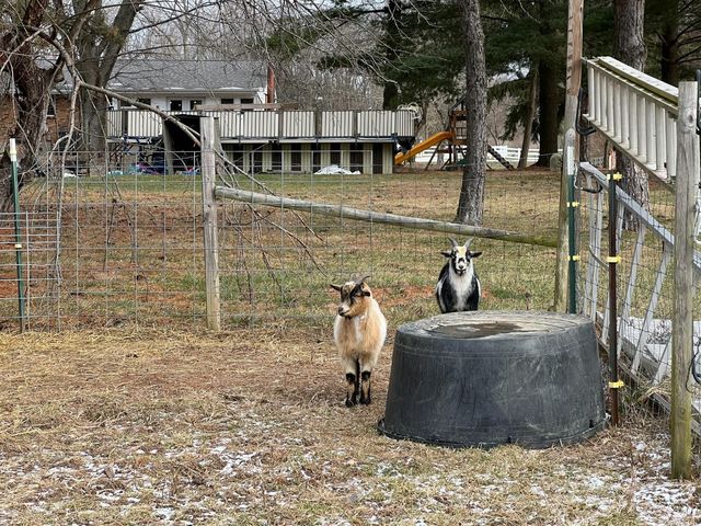 4957 Utica Road, Clearcreek Twp., OH 45068