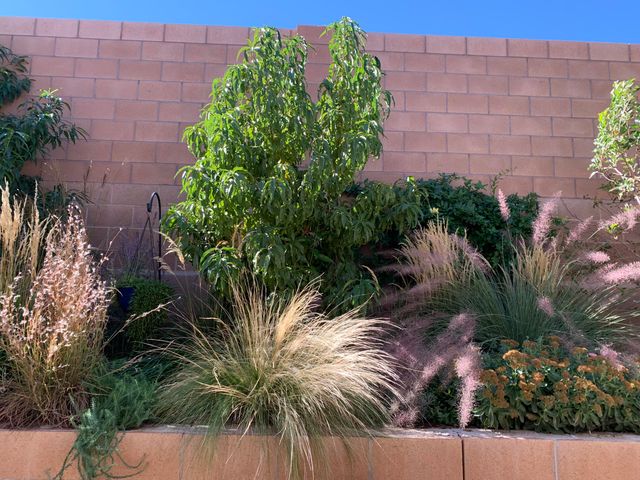 3621 Soldotna Drive NE, Rio Rancho, NM 87144