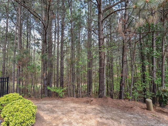 155 Cypress Hill Lane, Holly Springs, NC 27540